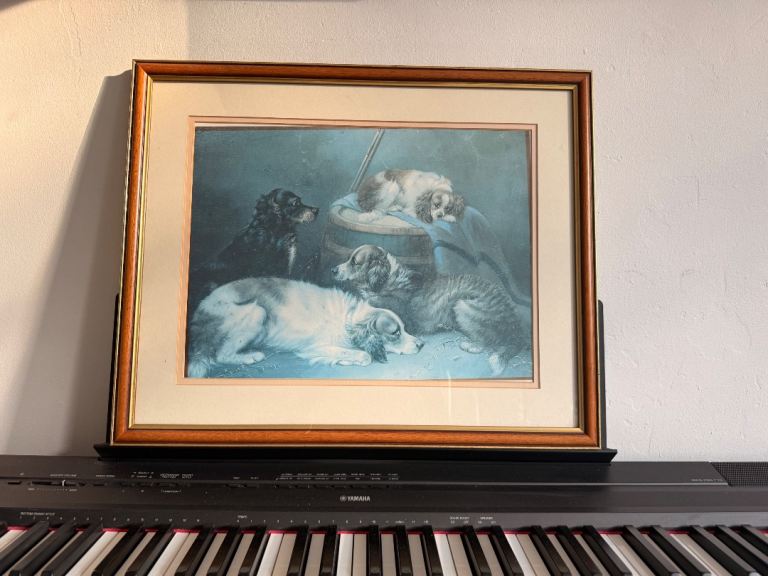 Vintage Framed Lithograph Print of Spaniels & Dogs
