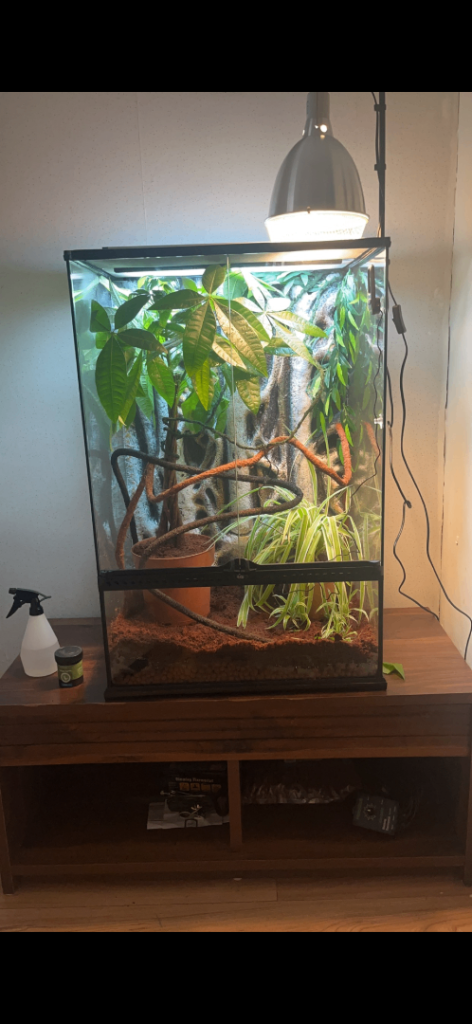 Vivarium 