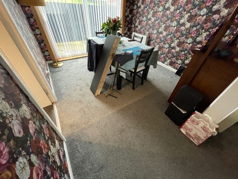 image for Free dining room-living room carpet