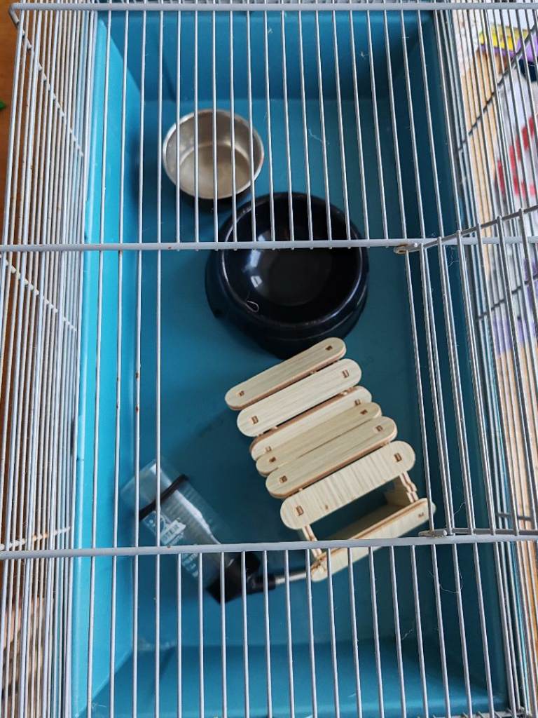 hamster/gerbil small cage and extras