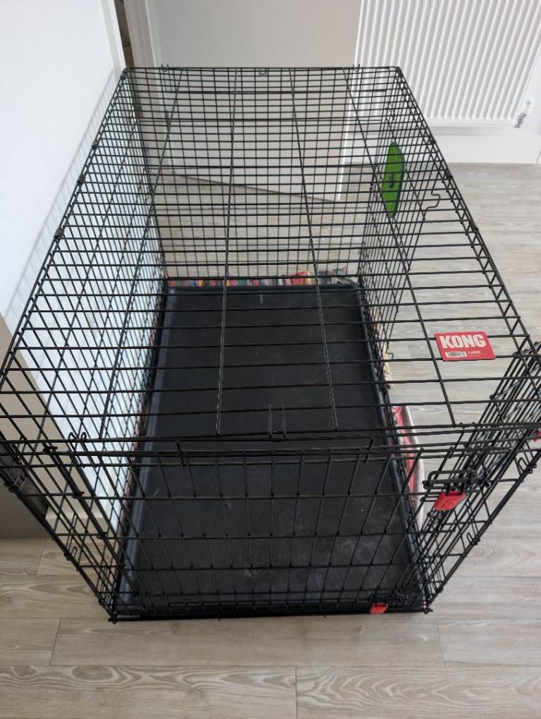 Kong X Large Crate Great Condition 