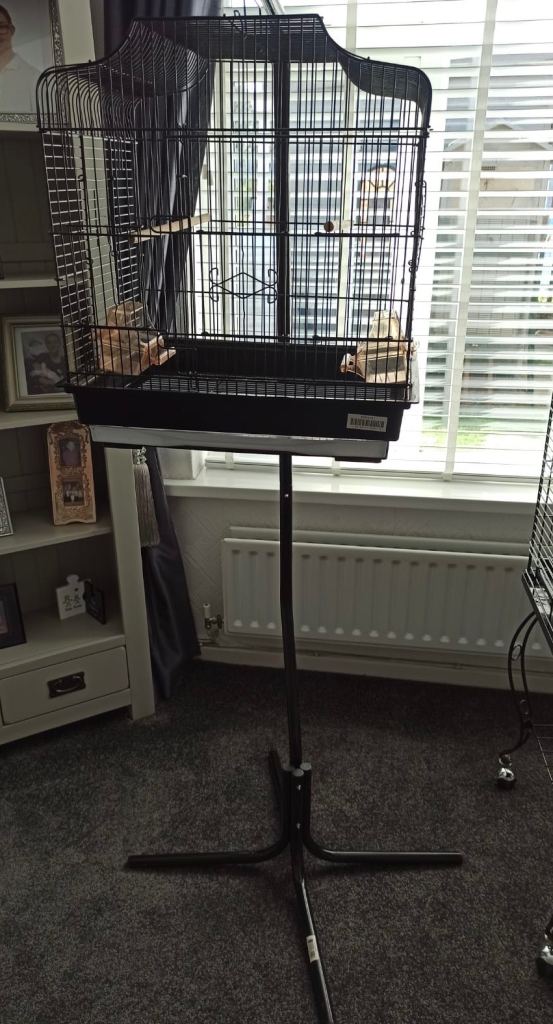 Bird cage 