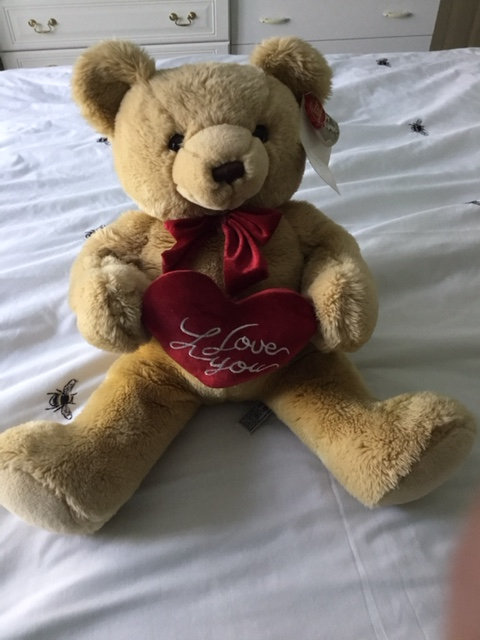 image for Teddy Bear