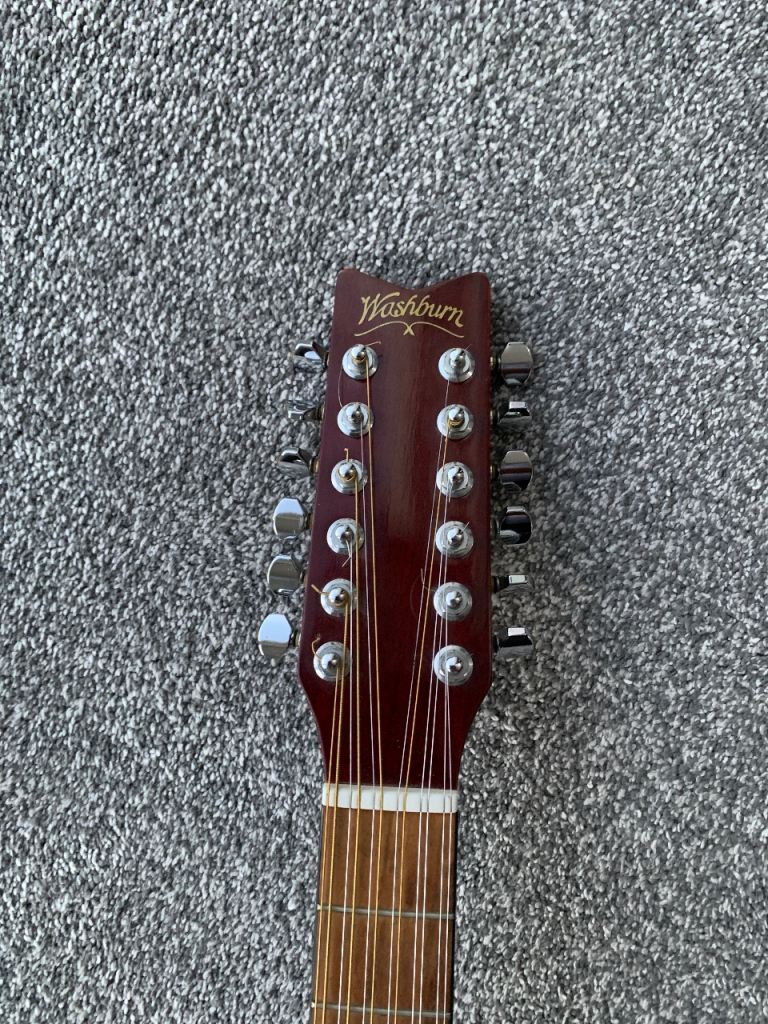 Washburn D12 12 String Guitar 