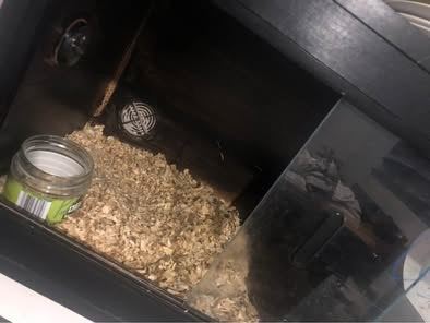 Viv collection only 