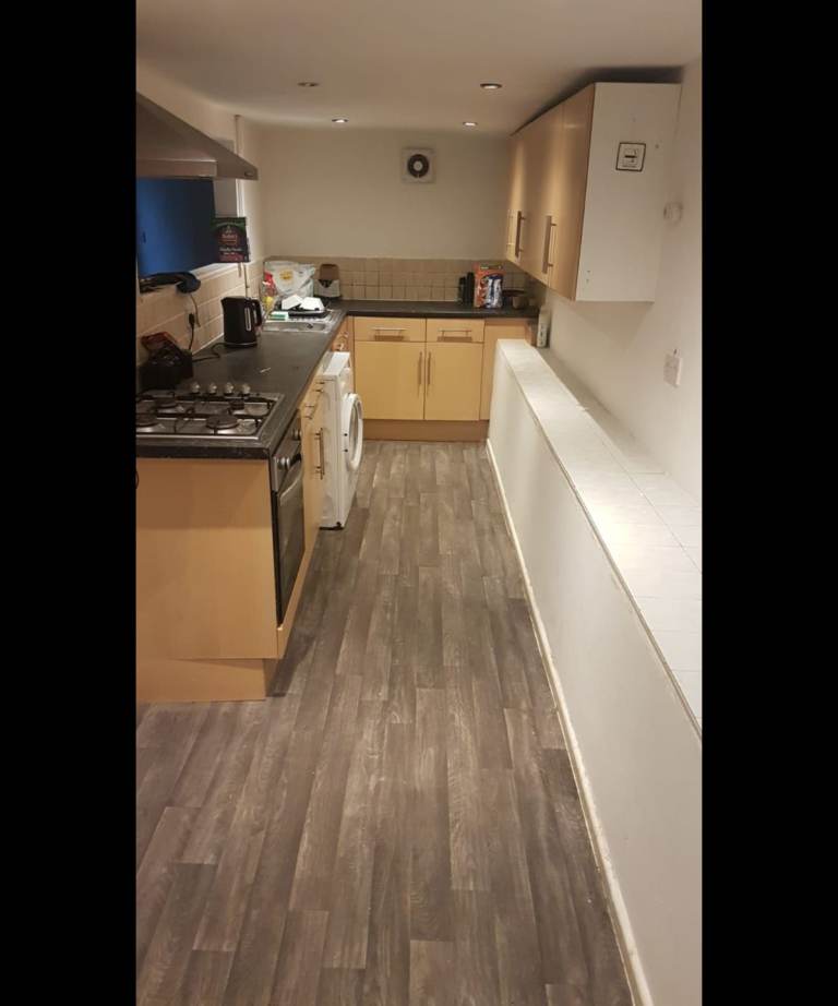 1 bed Spacious basement garden flat to rent