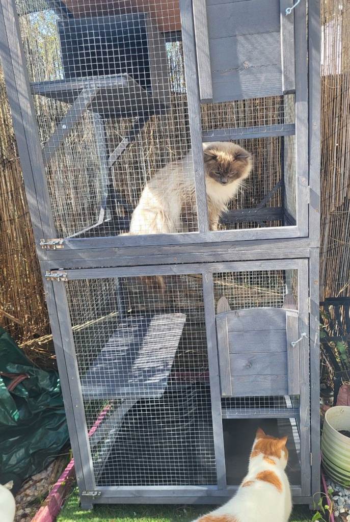 Aviary with weatherproof cover