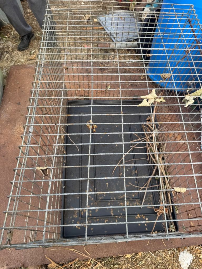 Large Metal Dog Crate/Cage for Garden or Storage