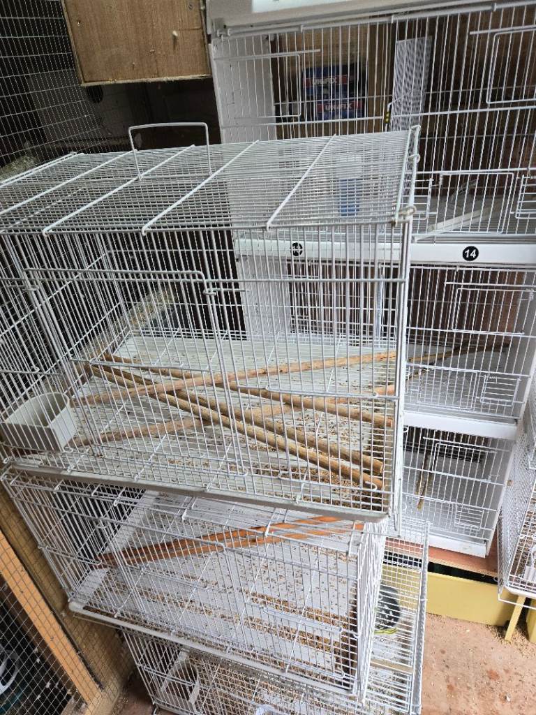 Cages for sale