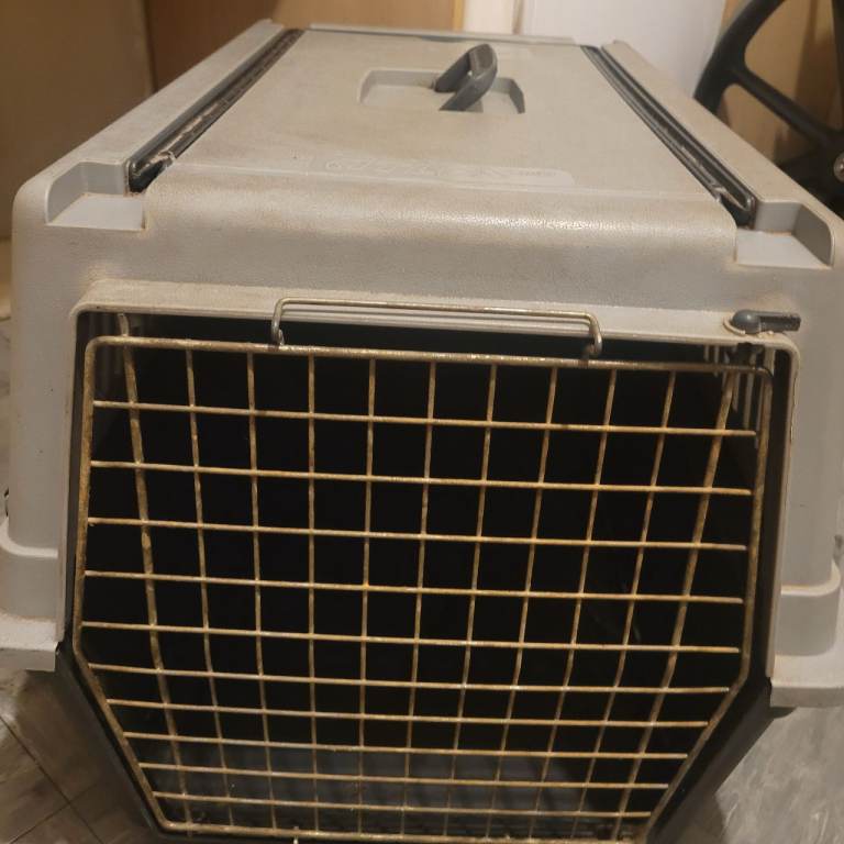 Dog crate 