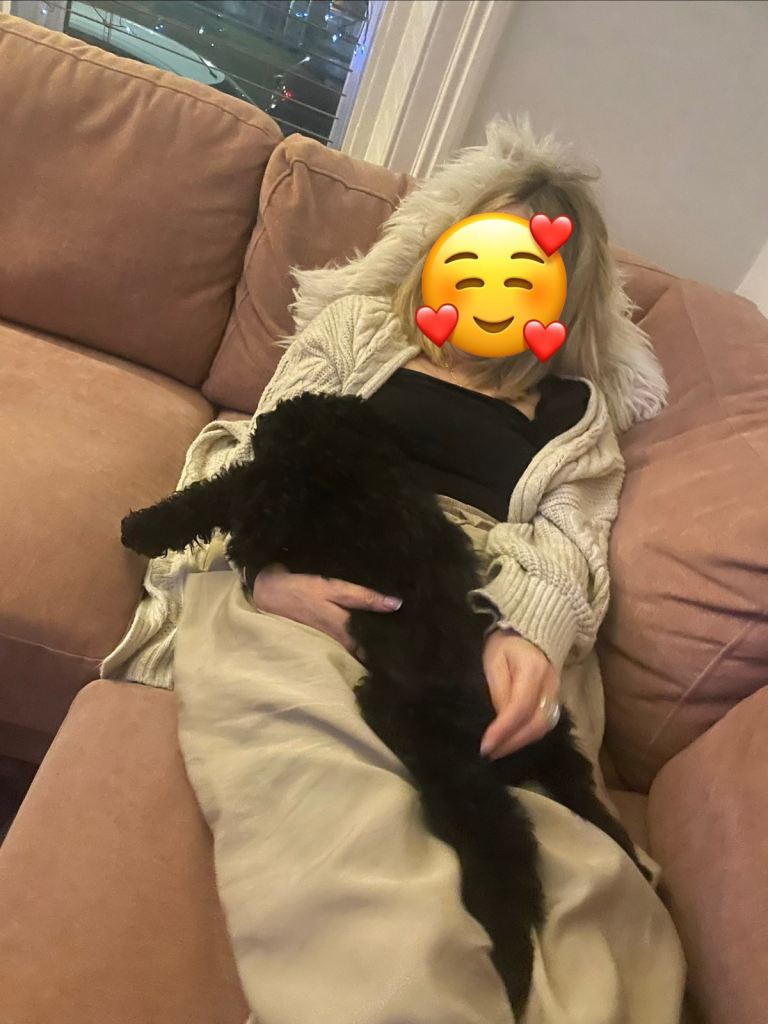 Goldendoodle almost 14 weeks