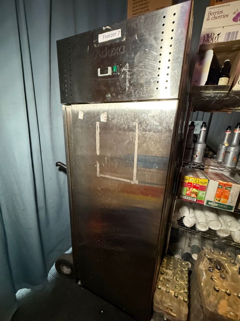 Adexa Commercial Upright Freezer