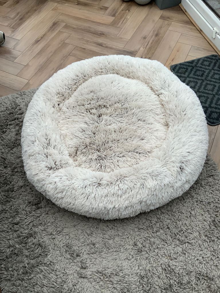 Cozee Paws XL Silver tipped pet bed