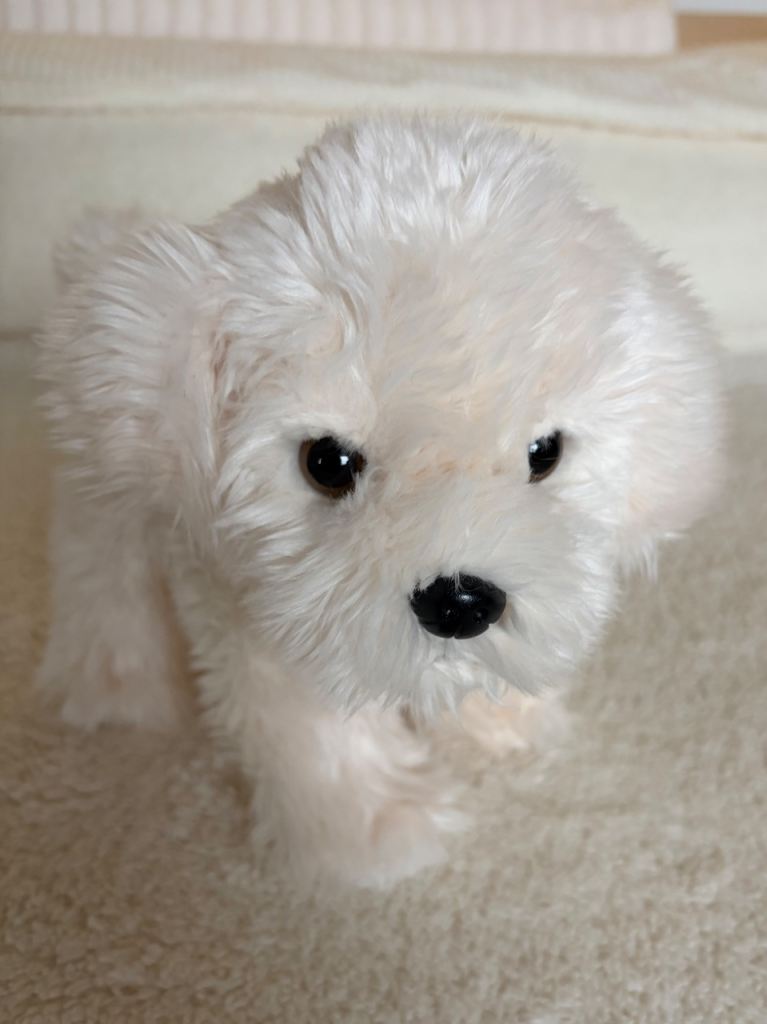 Teddy Hermann 919605 Dog Maltese Puppy Standing 23cm Beige Cream Soft Plush Toy
