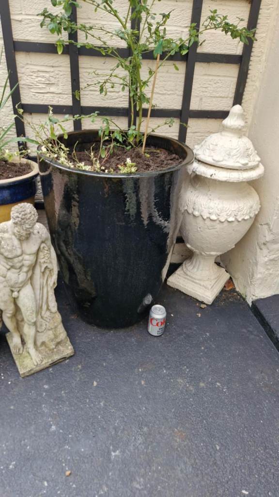 image for Huge Japanese salt glazed ceramic garden plant pot  