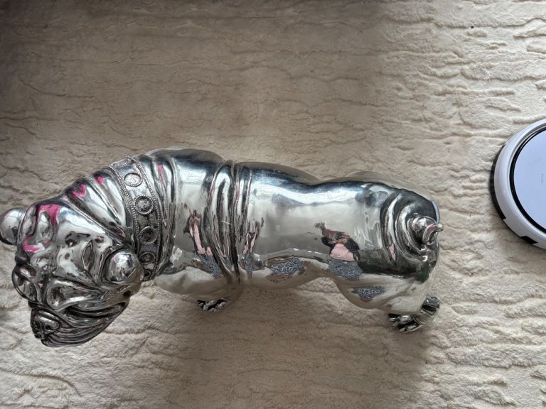 Bull dog 