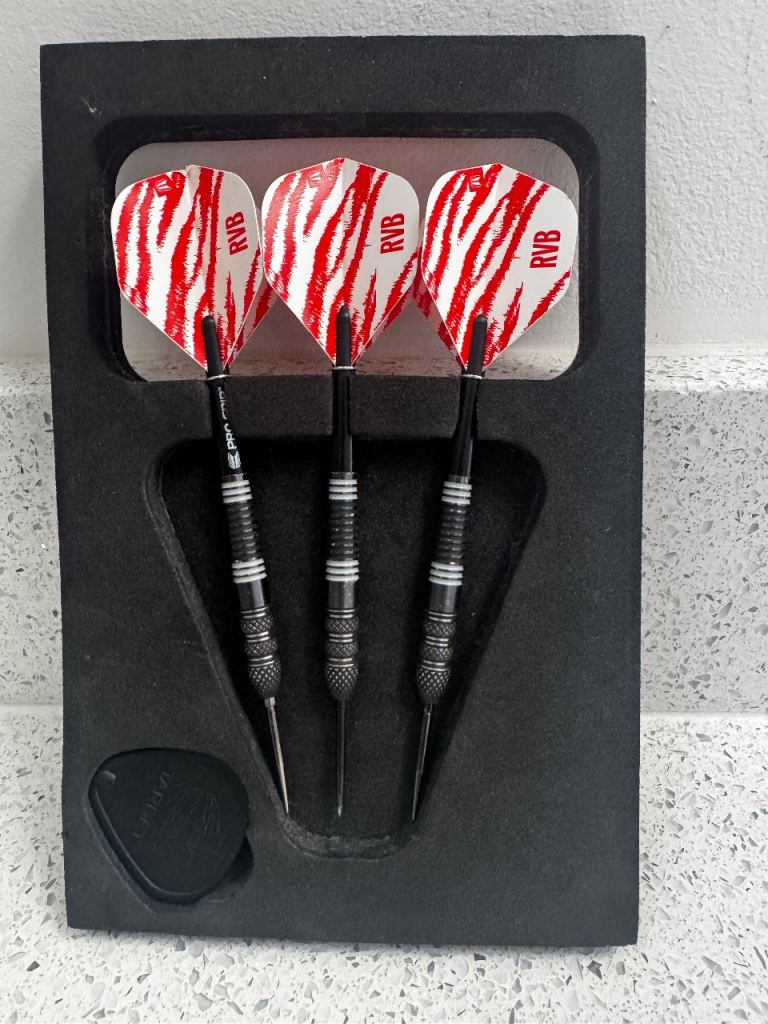 23g Raymond Van Barnaveld darts 