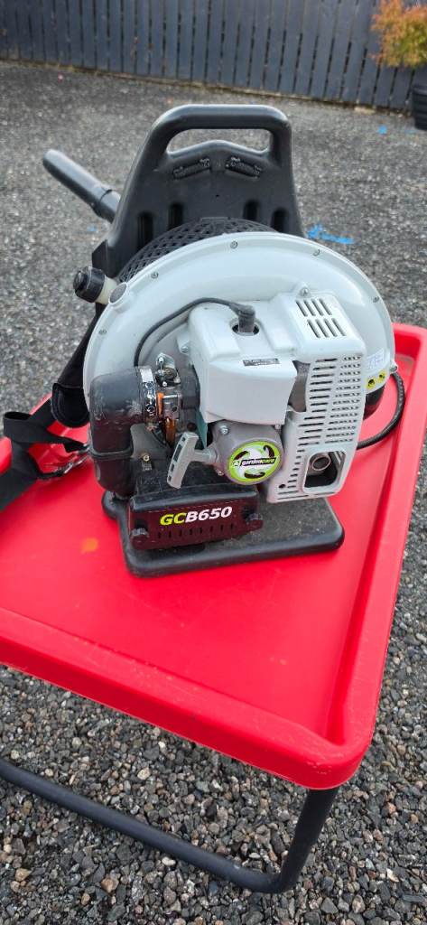 Ryobi GCB650 Petrol Leaf Blower – Good Condition