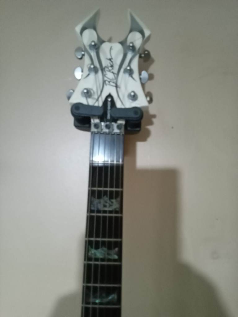 B.c.rich draco ghost flame 