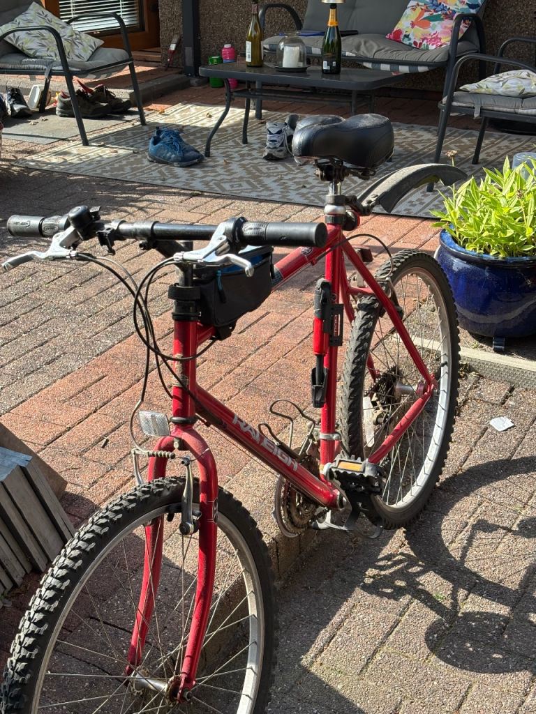 Raleigh mountain bike 