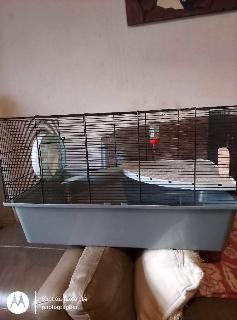 Hamster cage