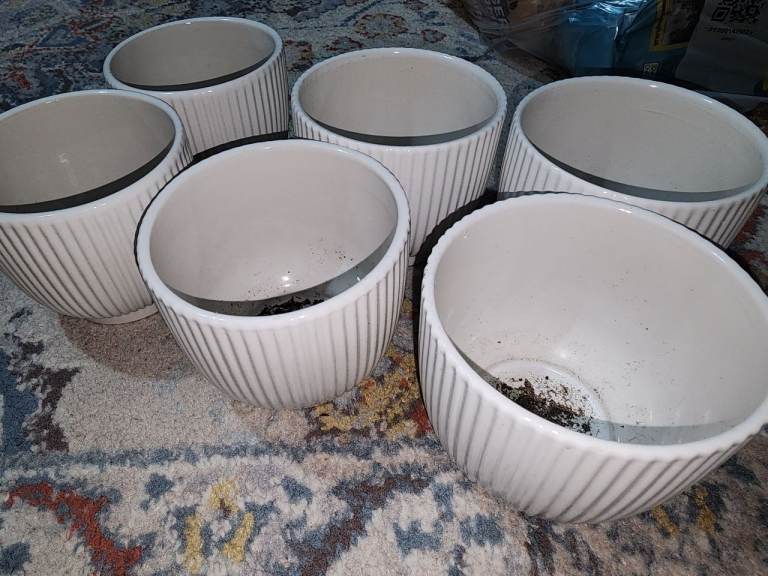 Plant pots