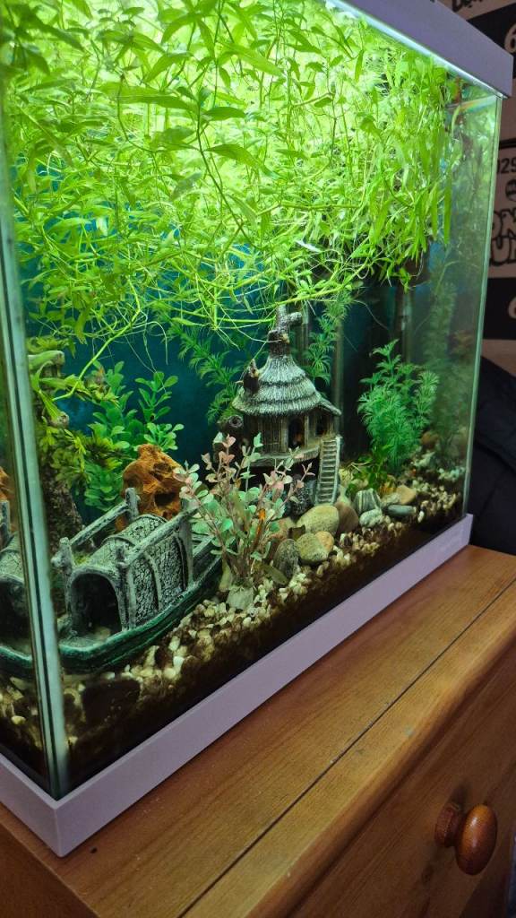 Aquarium 