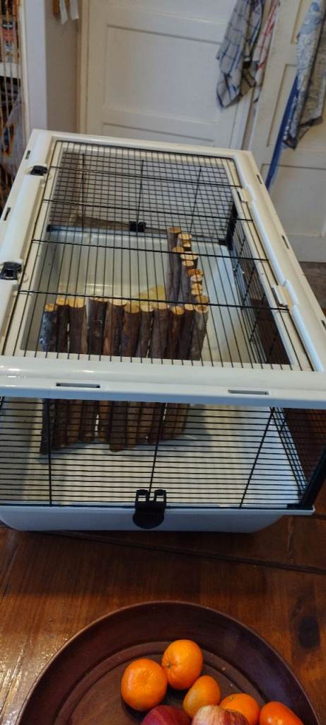 no offers SMALL PET ANIMAL CAGE 77cm x 47 x 35cm comes with water bottle, feeding bowl, divider