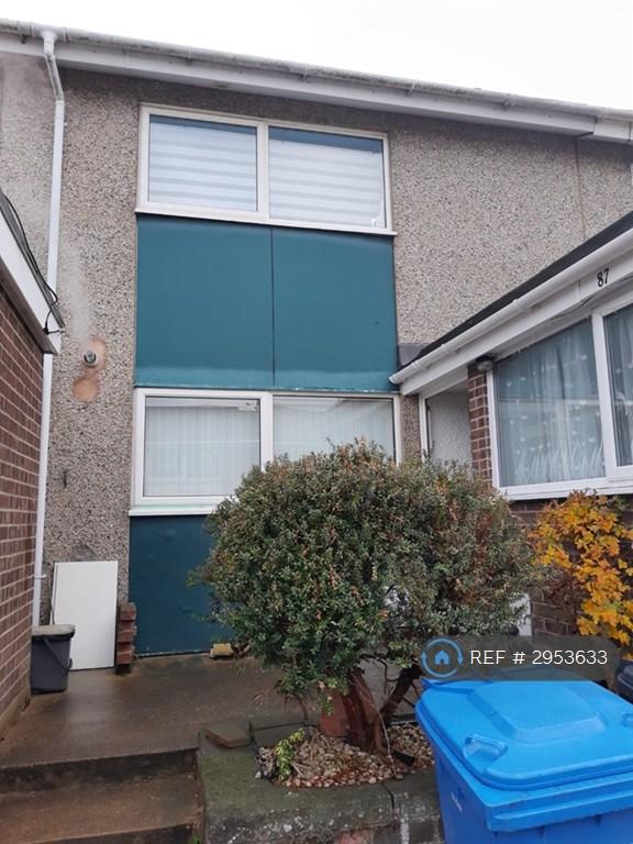 3 bedroom house in Millers Lane, Norwich, NR3 (3 bed) (#2953633)