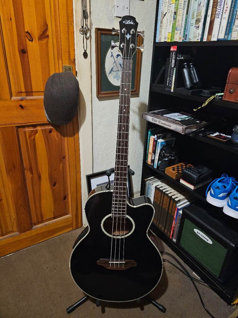 Aria Acoustic Bass