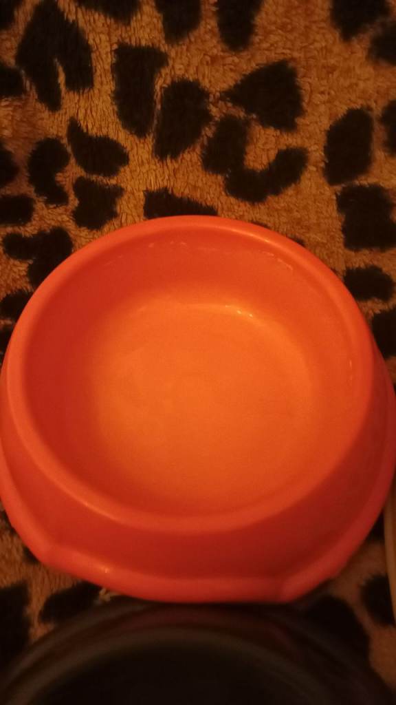 Dog bowl s one new two used good condition £5