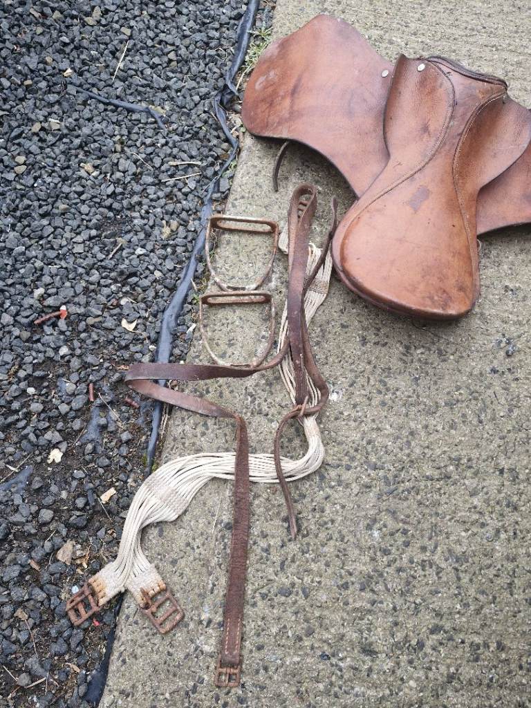 Horse  saddle 