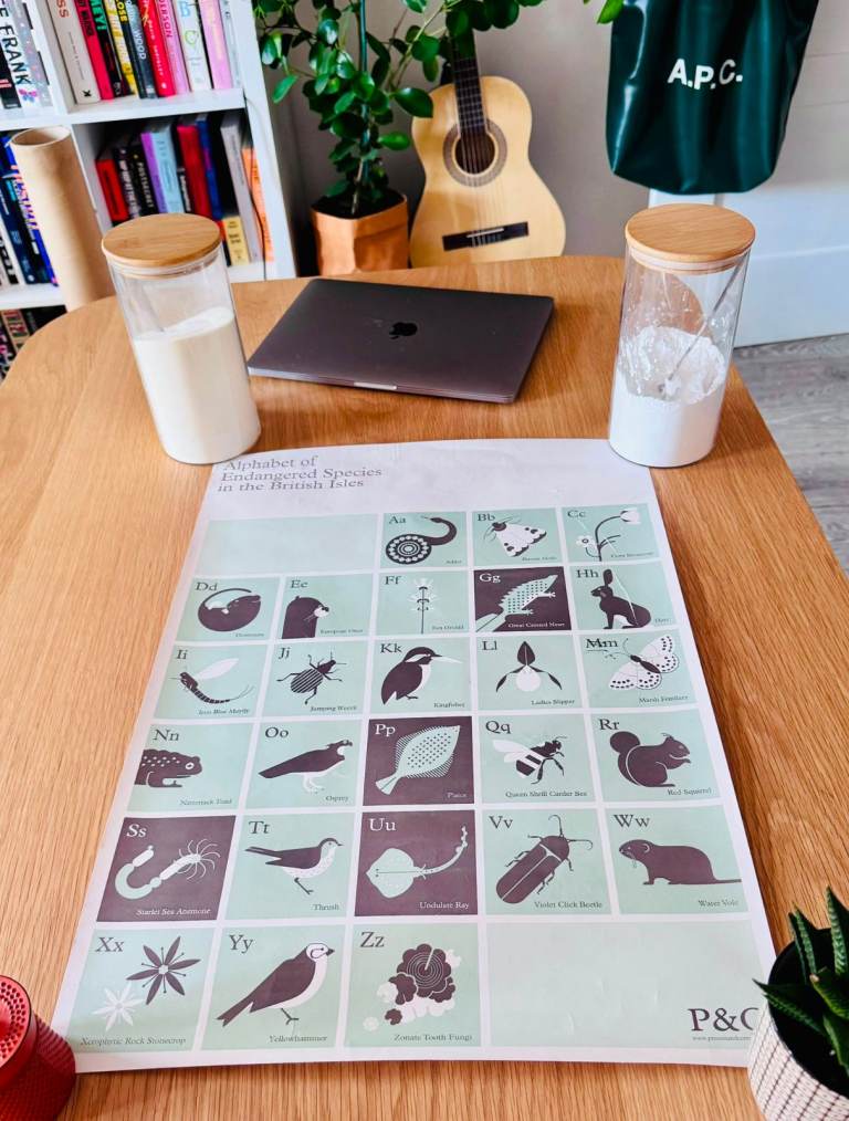 Present & Correct Poster Endangered British Wildlife Alphabet A2 2007 Graphic Design
