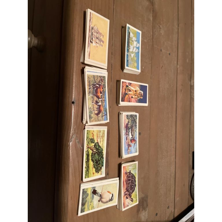 8 incomplete Brooke Bond collectors cards wildlife, shjps,trees birds, transport