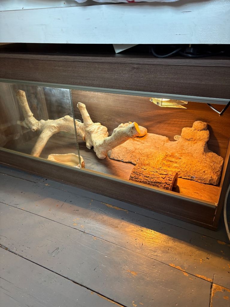 Reptile Vivarium 