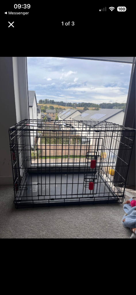 Kong Puppy Crate