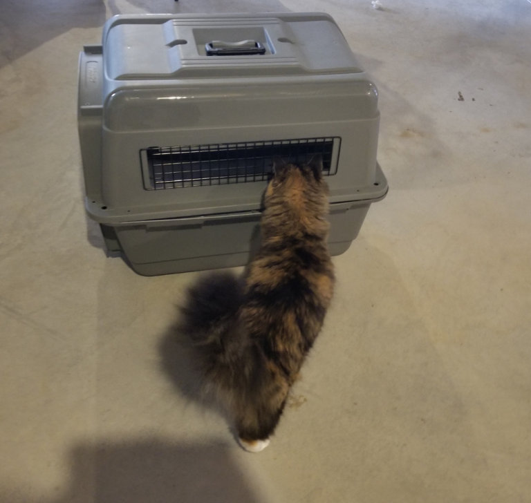 28 inch PET CARRIER /SKY KENNEL - Suit cat, small dog, rabbit - Airline Approved   (3 available)