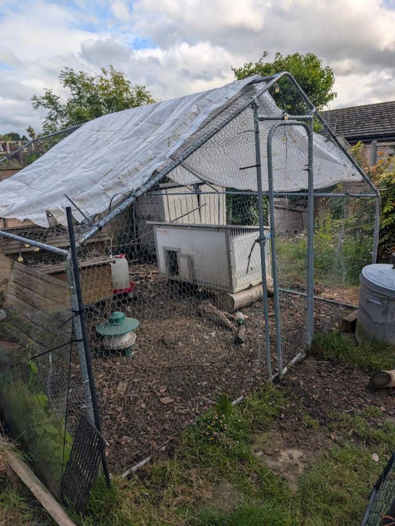 13 ft metal chicken/ duck run