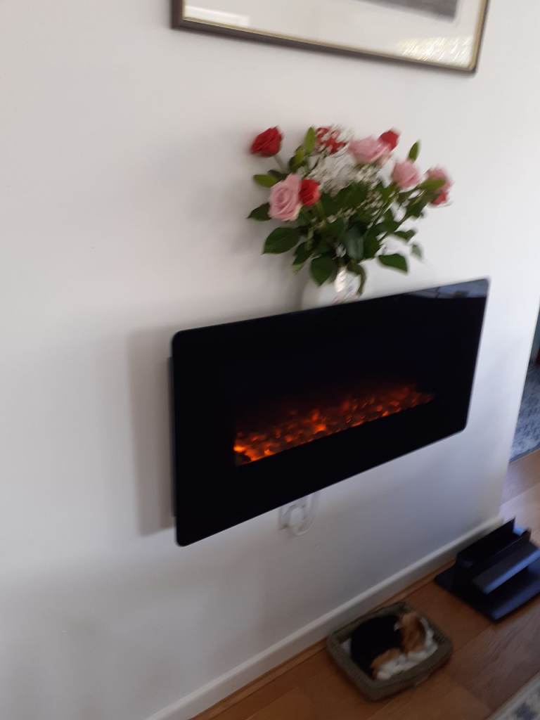 Wall mounted electric fire