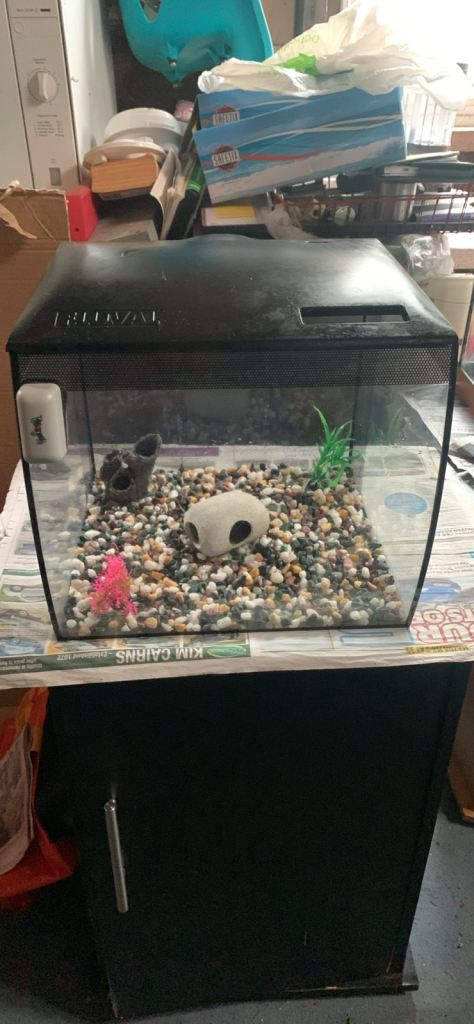 Fish tank 