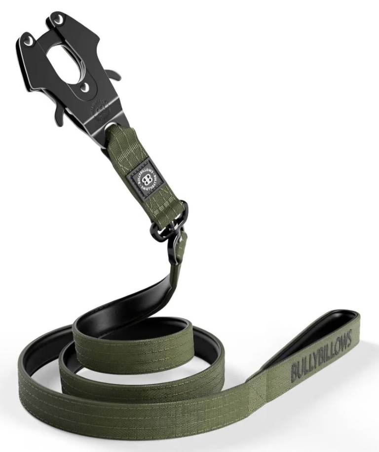 Dog lead 