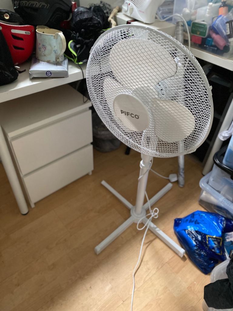 Fan