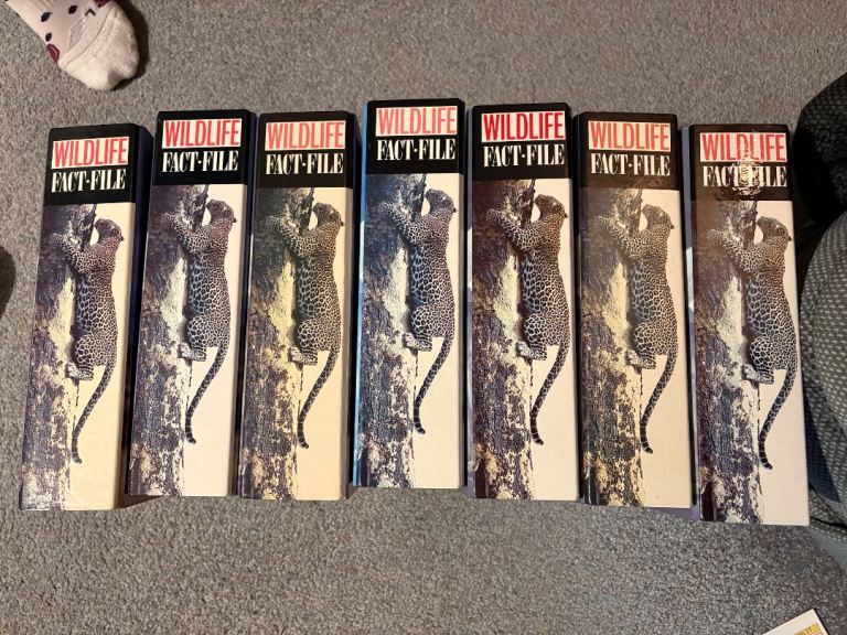 Wildlife Fact Files 1990s Vintage  