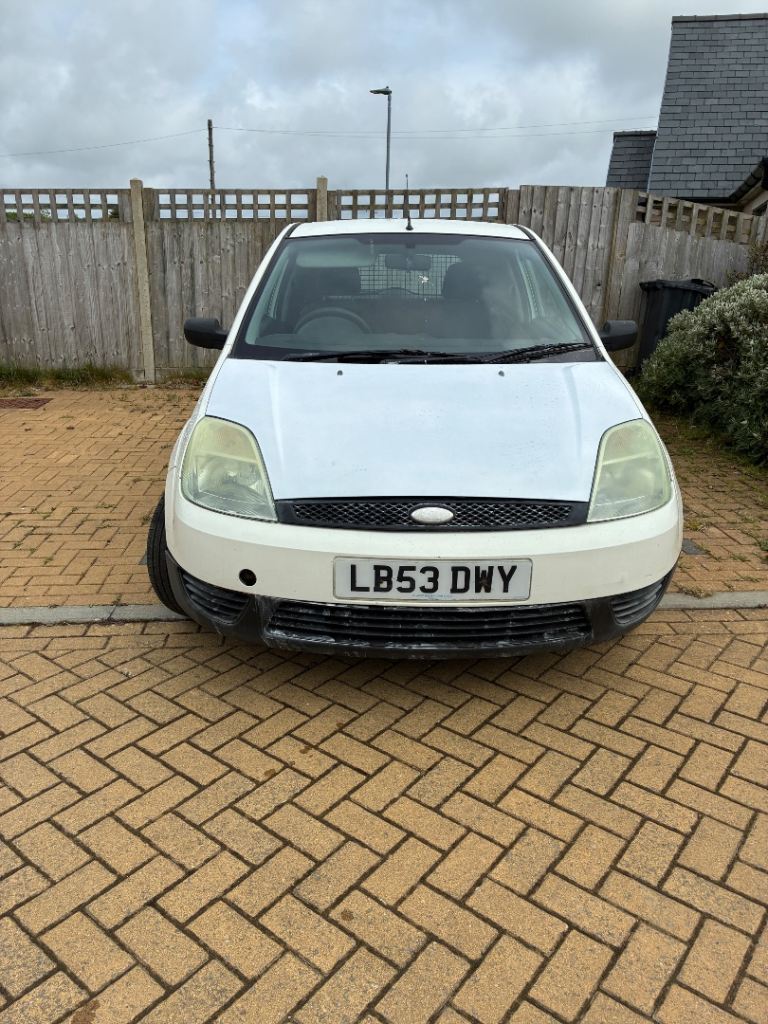 Ford fiesta van