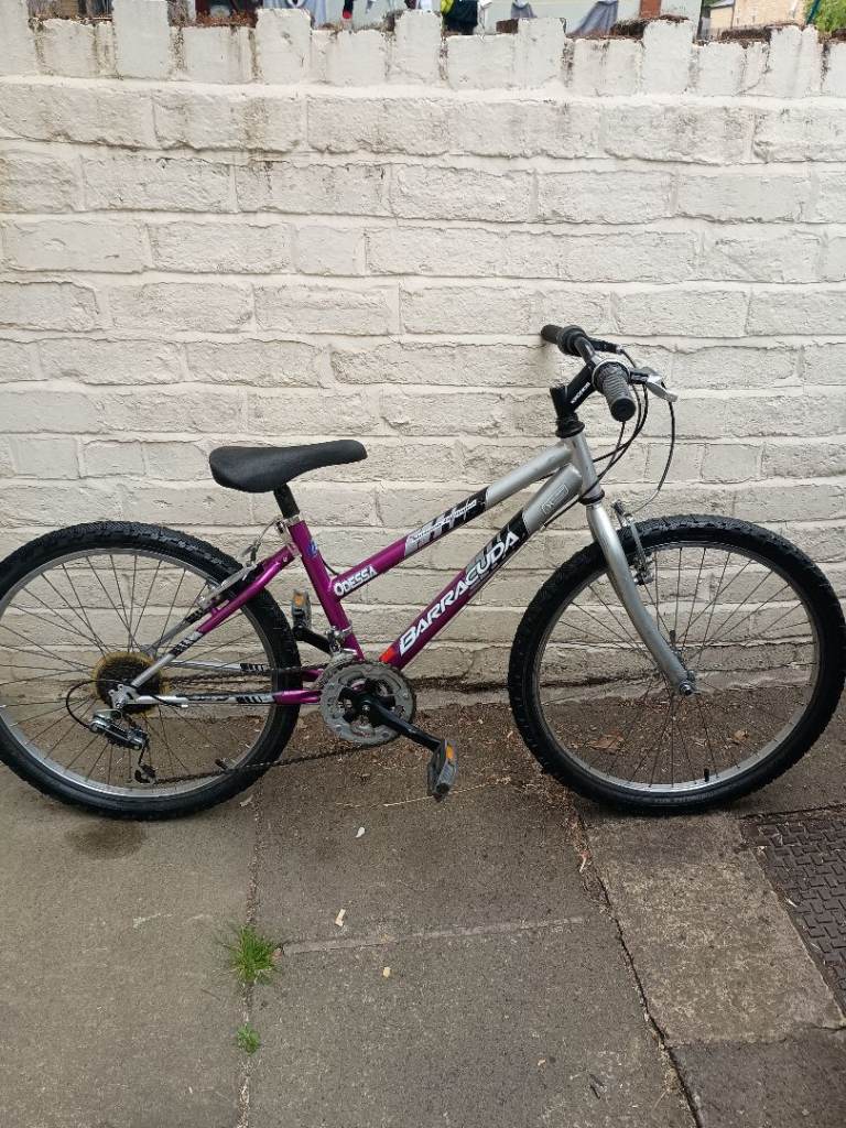 Barracuda Odessa Mountain Bike 
