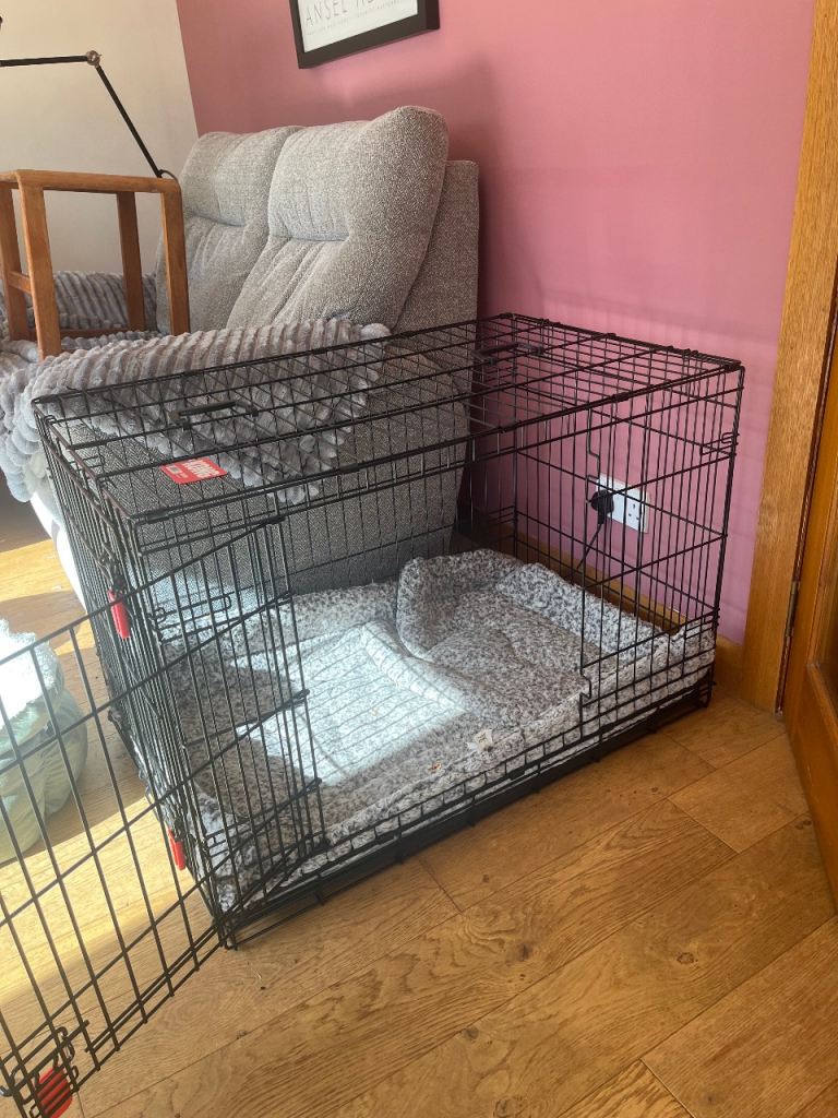 Kong dog crate. Medium