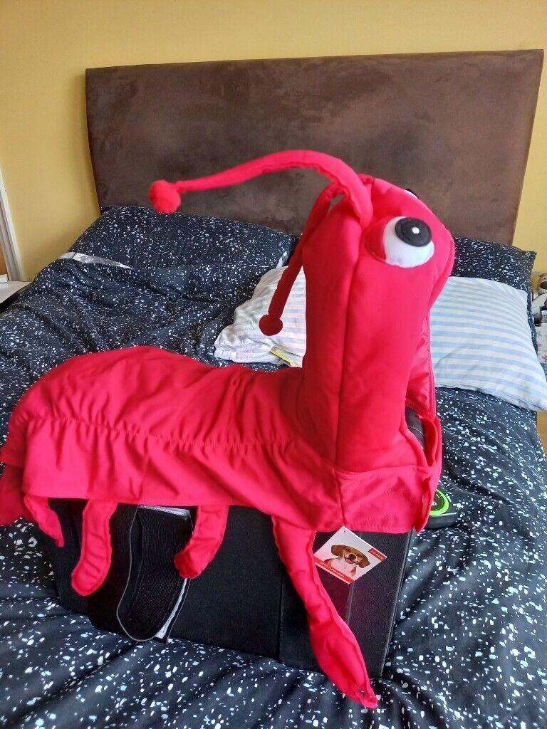 Dog lobster fancy dress costume brand new