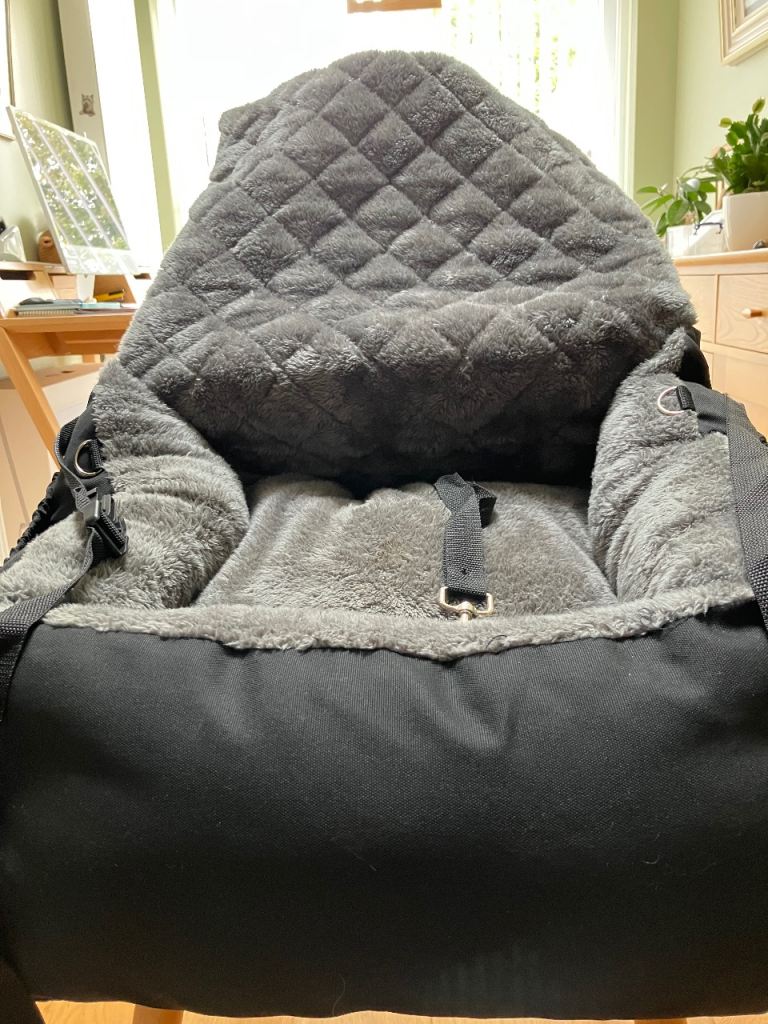 Car seat for dog