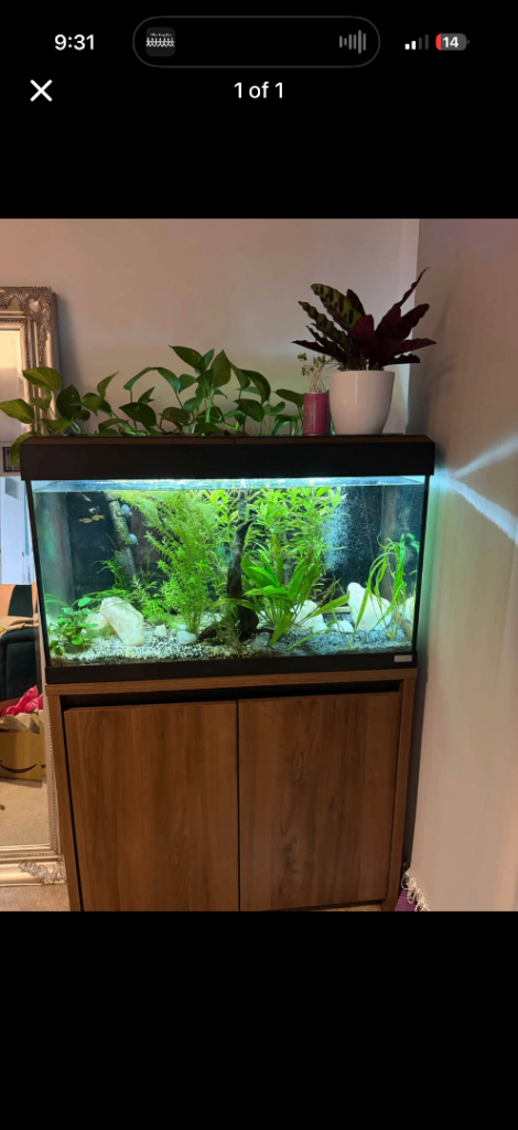 Fluval 125L fish tank and stand