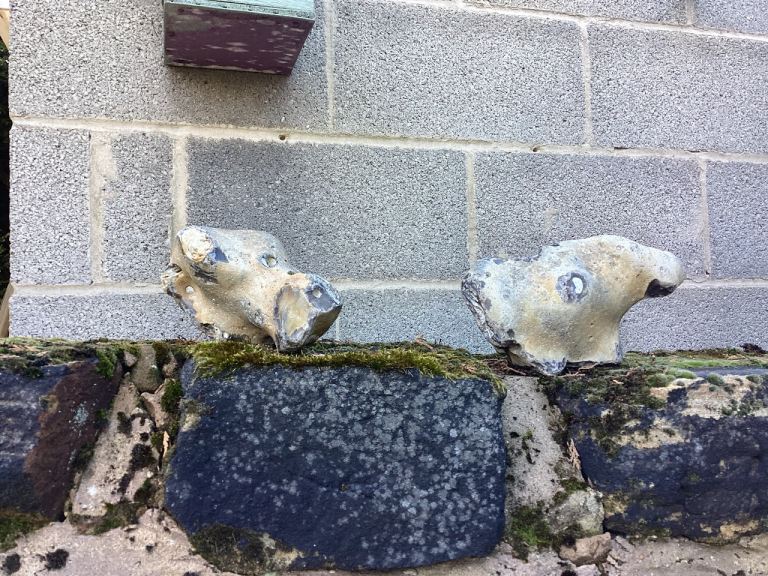 Two old watering cans and dogs heads